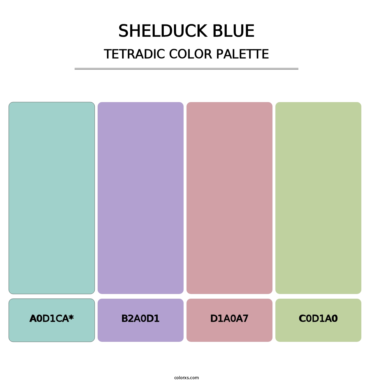 Shelduck Blue - Tetradic Color Palette