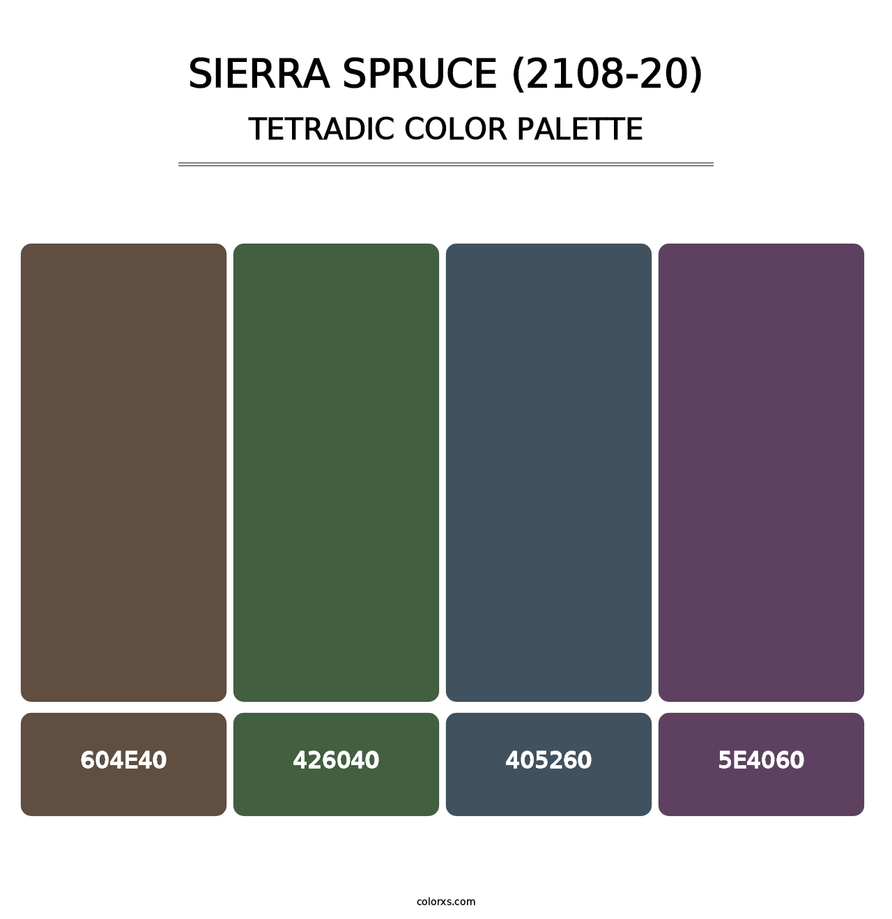Sierra Spruce (2108-20) - Tetradic Color Palette