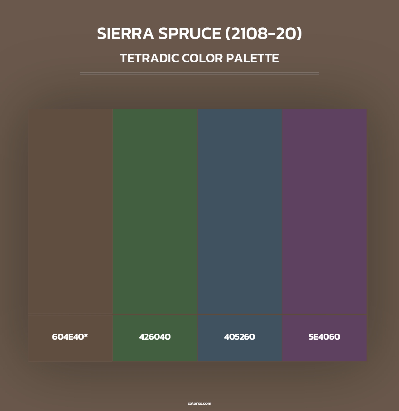 Sierra Spruce (2108-20) - Tetradic Color Palette