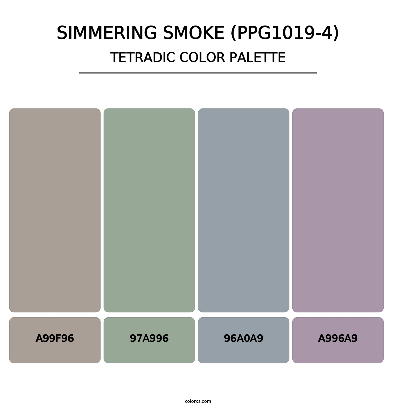 Simmering Smoke (PPG1019-4) - Tetradic Color Palette