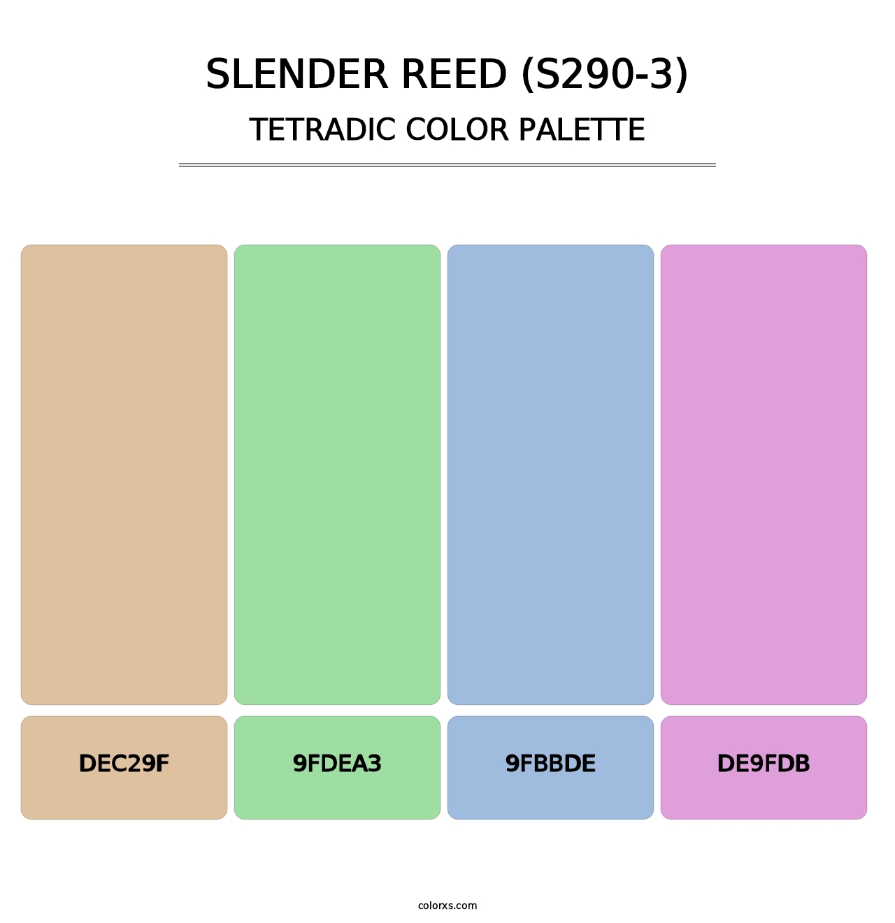 Slender Reed (S290-3) - Tetradic Color Palette