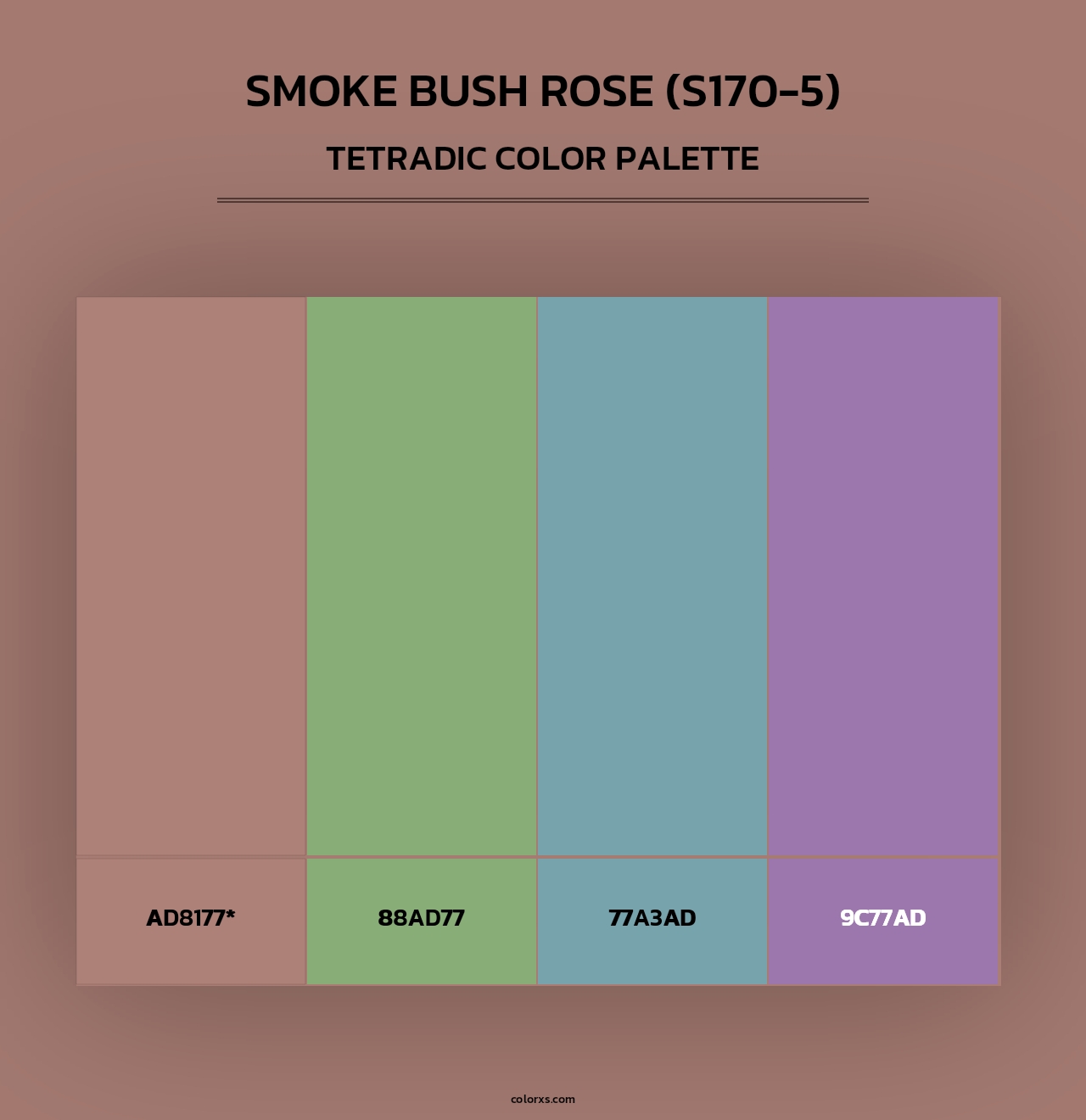 Smoke Bush Rose (S170-5) - Tetradic Color Palette