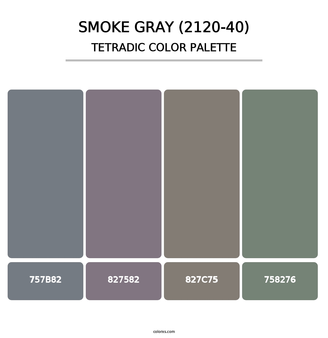 Smoke Gray (2120-40) - Tetradic Color Palette