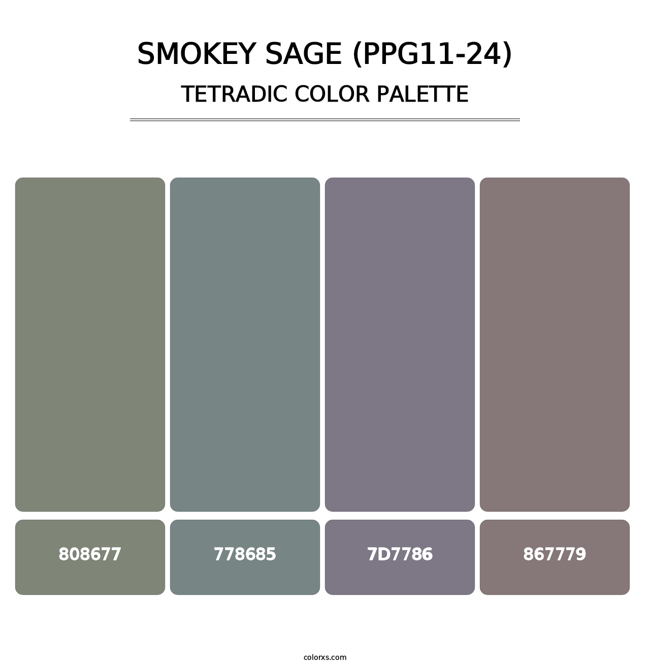 Smokey Sage (PPG11-24) - Tetradic Color Palette