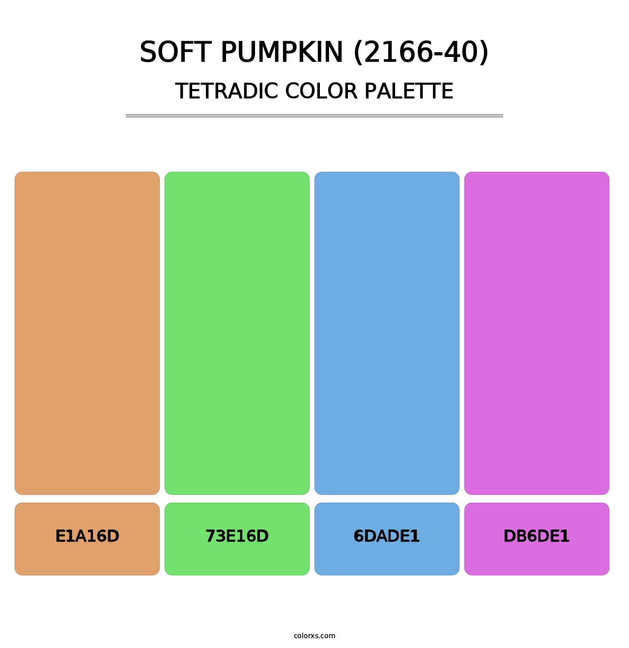 Soft Pumpkin (2166-40) - Tetradic Color Palette