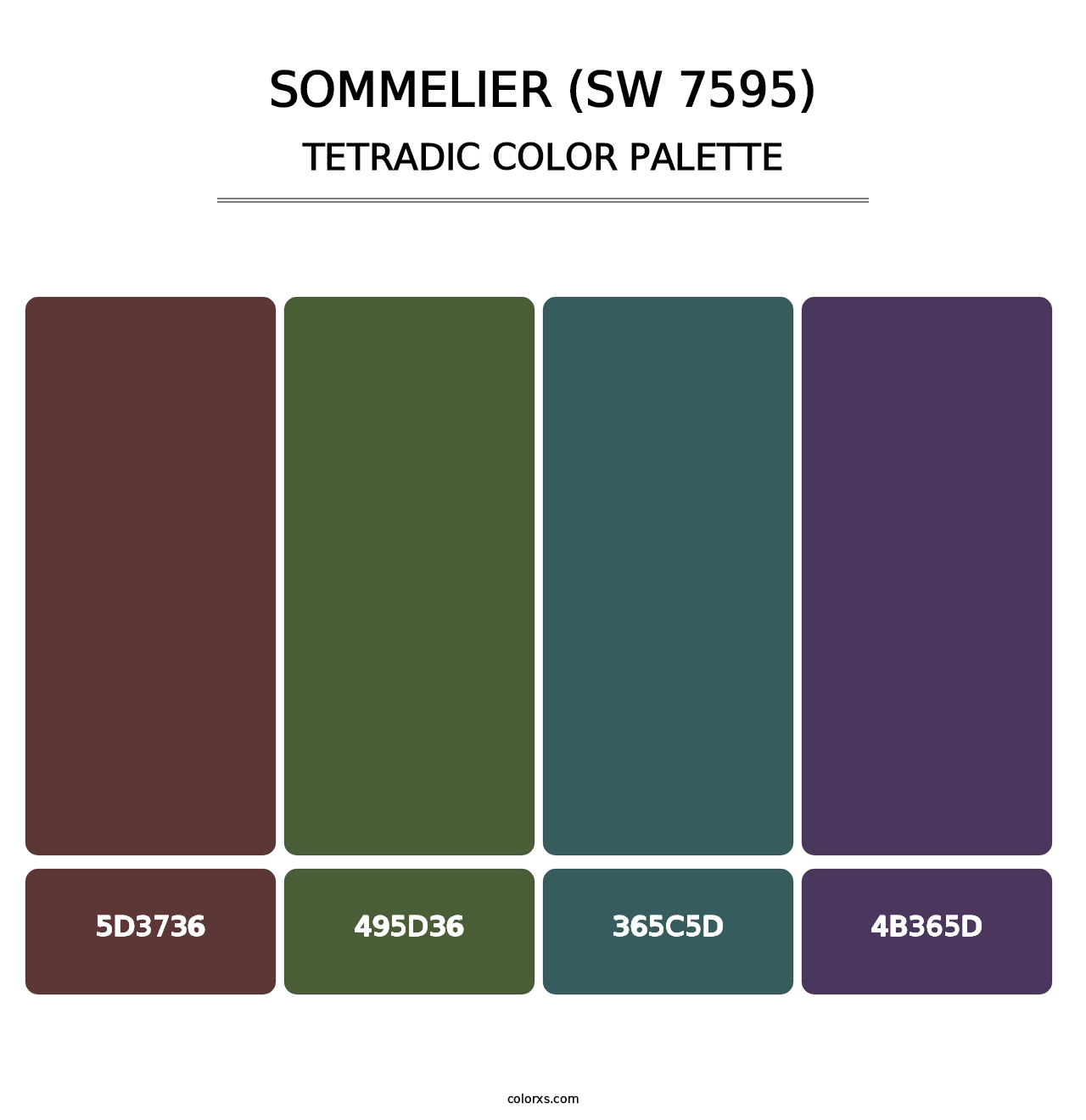 Sommelier (SW 7595) - Tetradic Color Palette