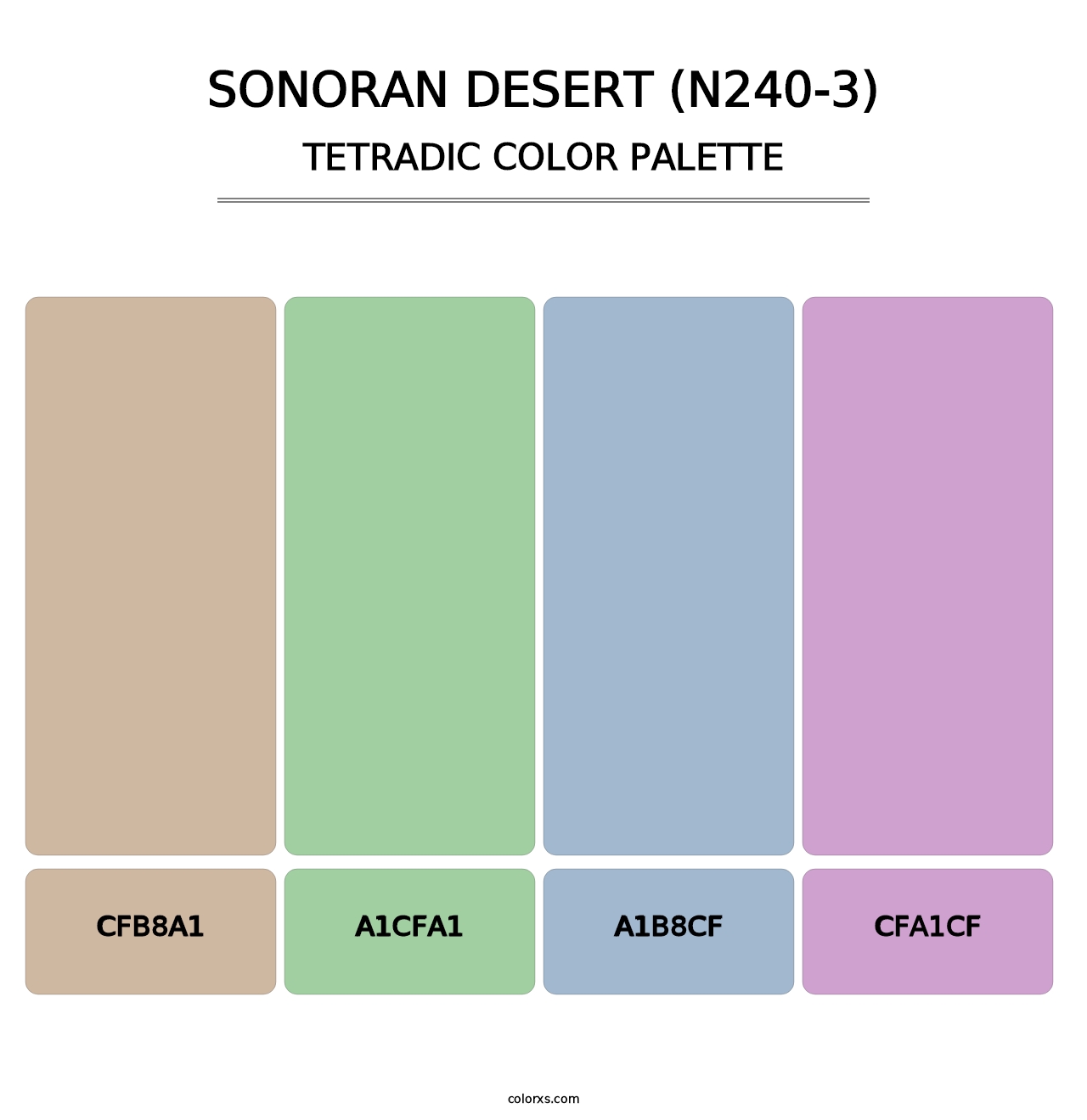 Sonoran Desert (N240-3) - Tetradic Color Palette