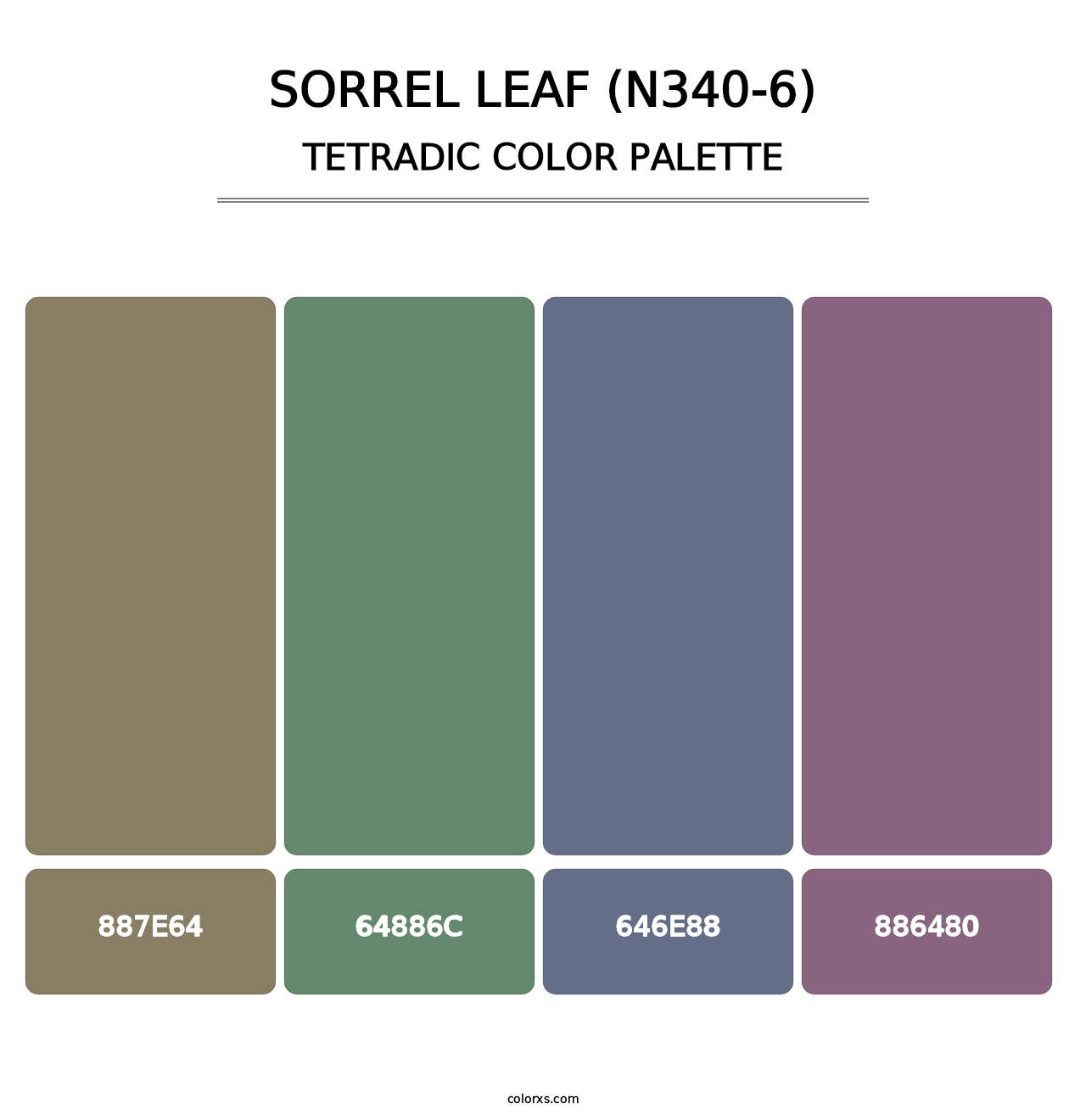 Sorrel Leaf (N340-6) - Tetradic Color Palette