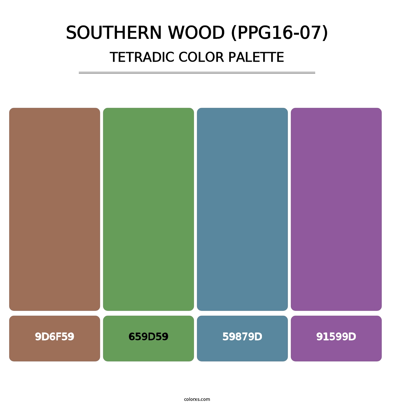 Southern Wood (PPG16-07) - Tetradic Color Palette