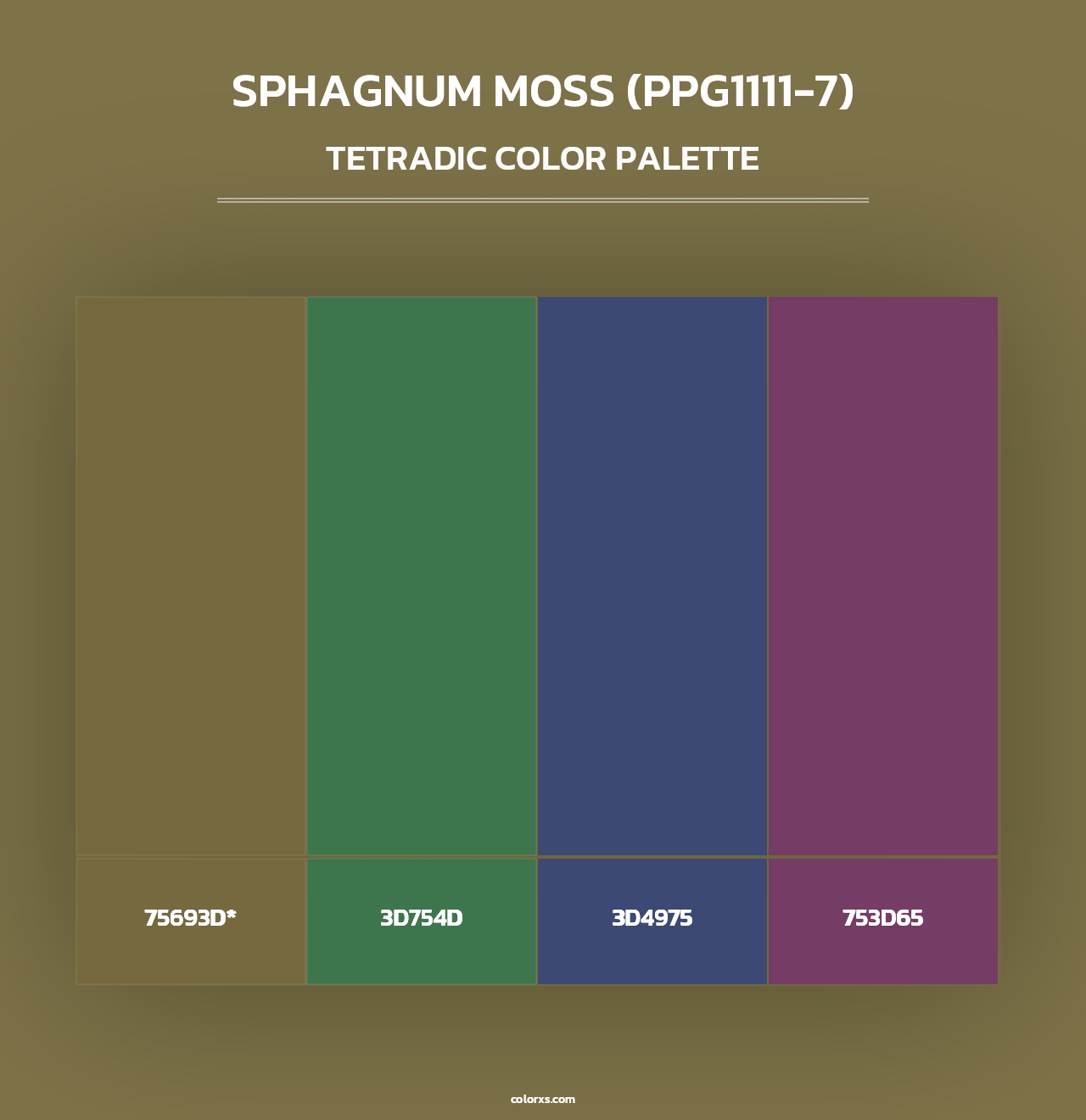 Sphagnum Moss (PPG1111-7) - Tetradic Color Palette