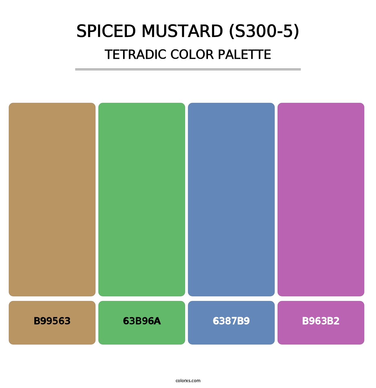 Spiced Mustard (S300-5) - Tetradic Color Palette