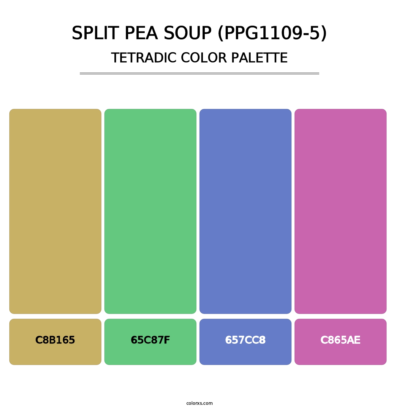 Split Pea Soup (PPG1109-5) - Tetradic Color Palette