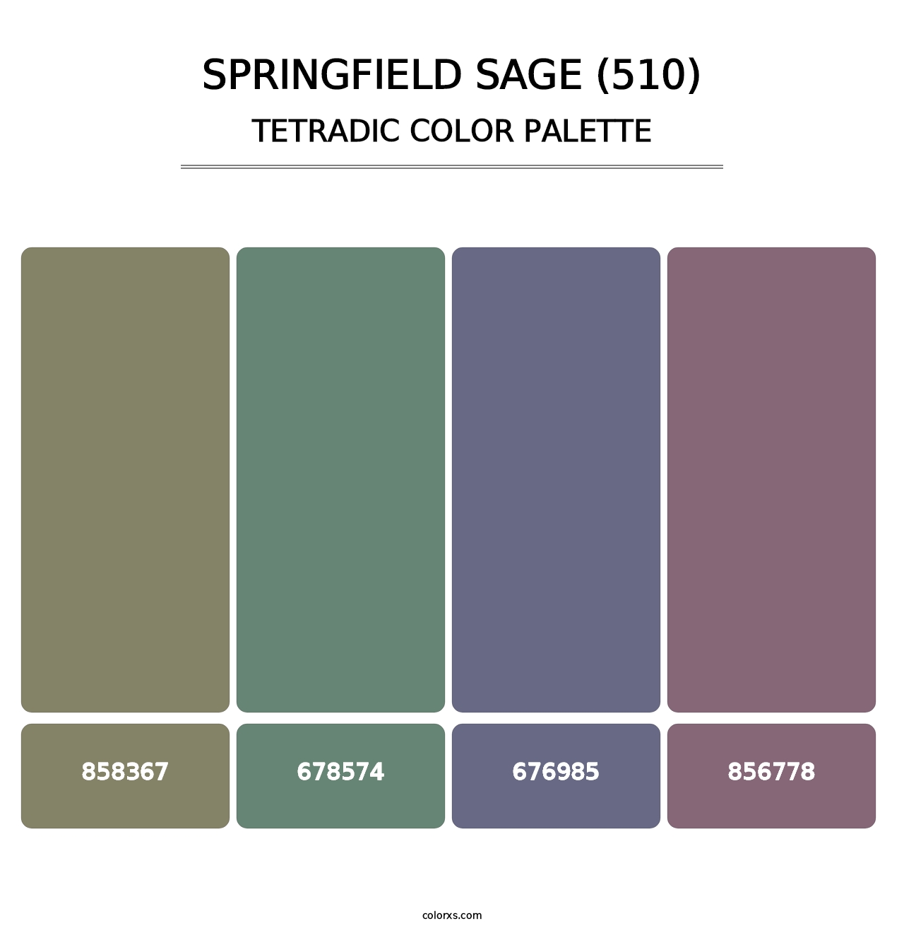 Springfield Sage (510) - Tetradic Color Palette