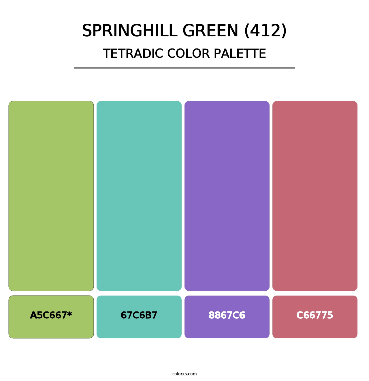 Springhill Green (412) - Tetradic Color Palette