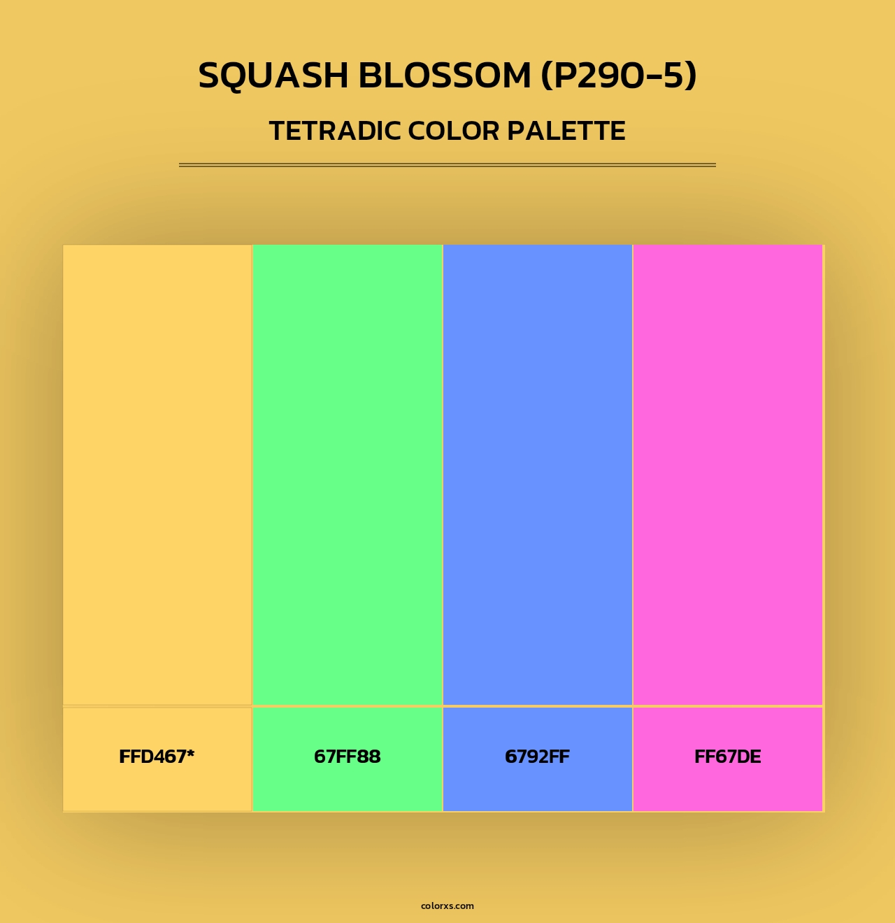 Squash Blossom (P290-5) - Tetradic Color Palette