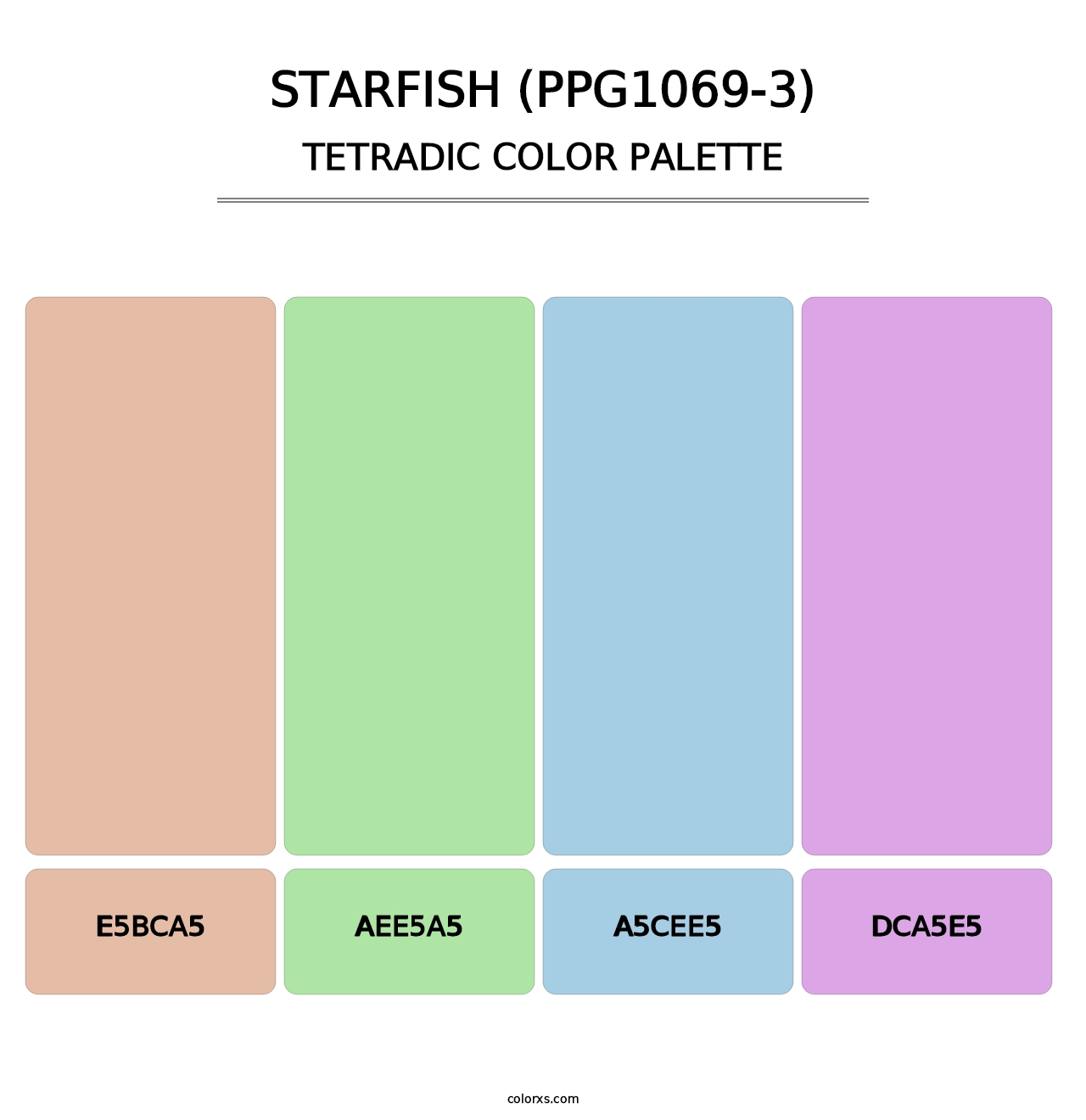 Starfish (PPG1069-3) - Tetradic Color Palette