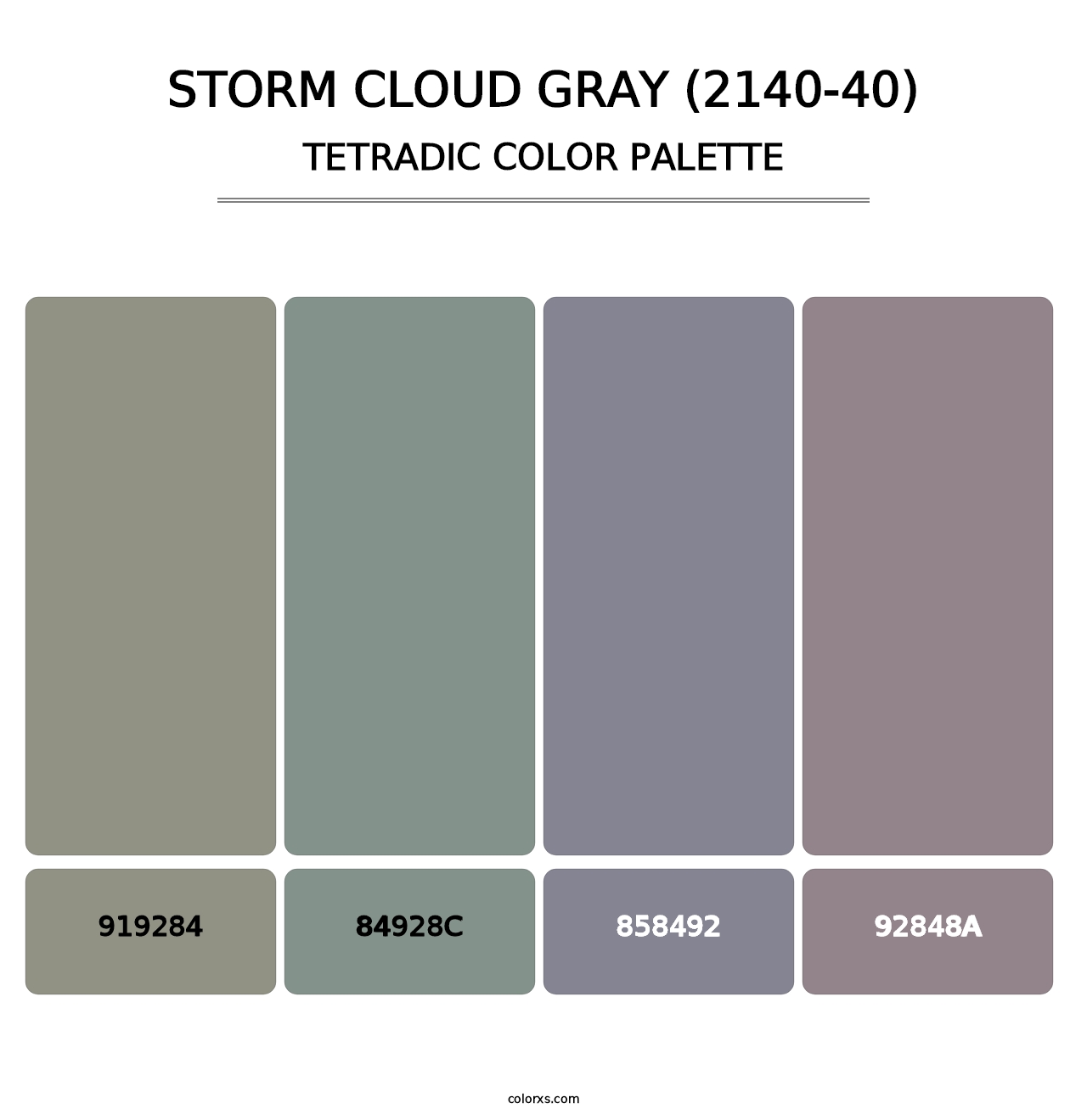 Storm Cloud Gray (2140-40) - Tetradic Color Palette