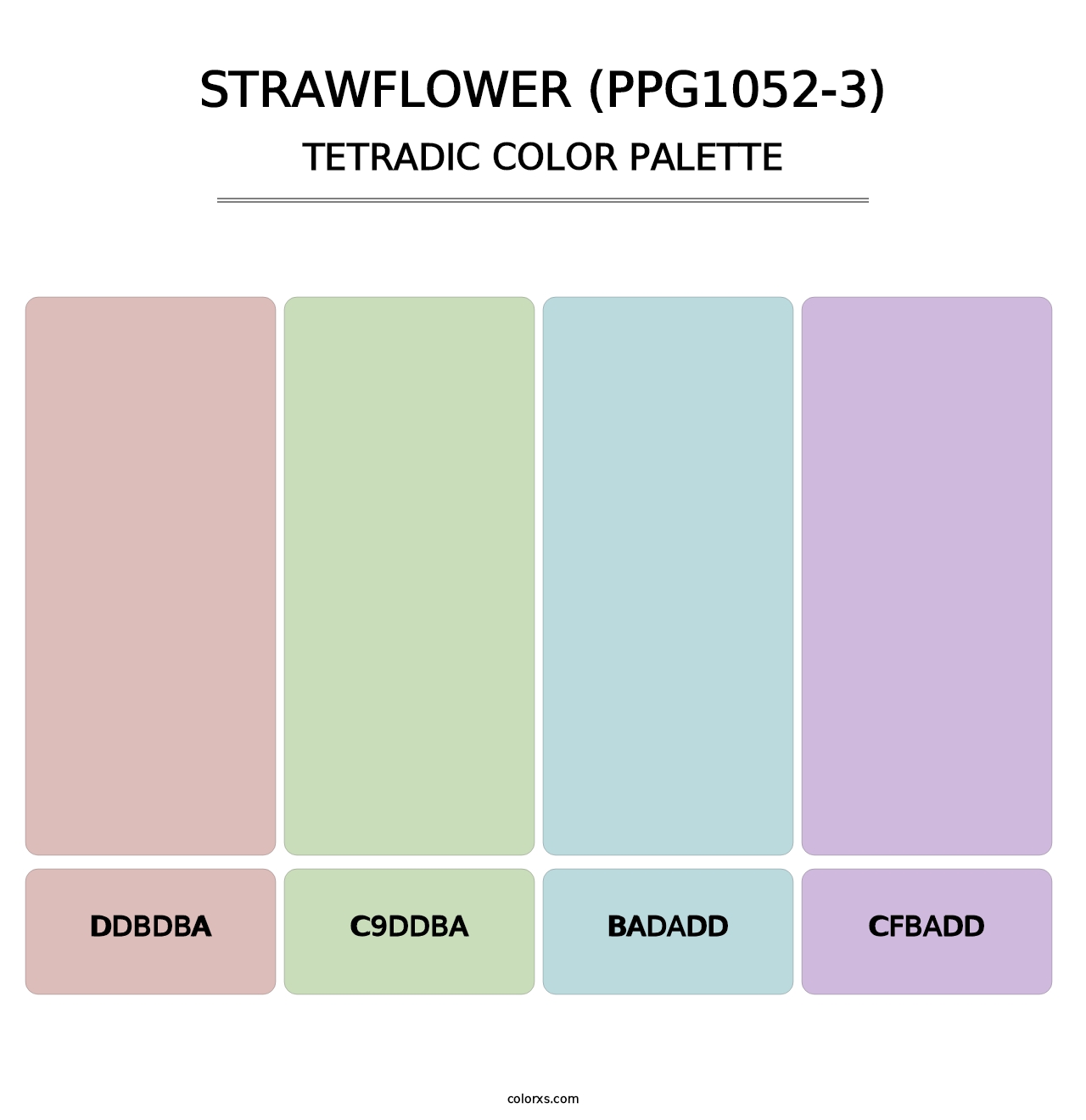 Strawflower (PPG1052-3) - Tetradic Color Palette