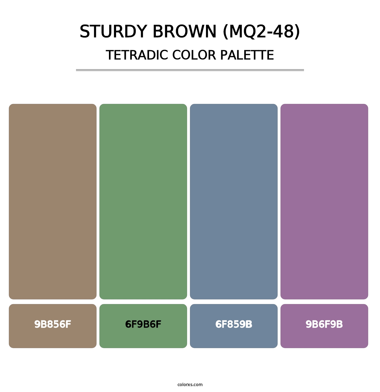 Sturdy Brown (MQ2-48) - Tetradic Color Palette