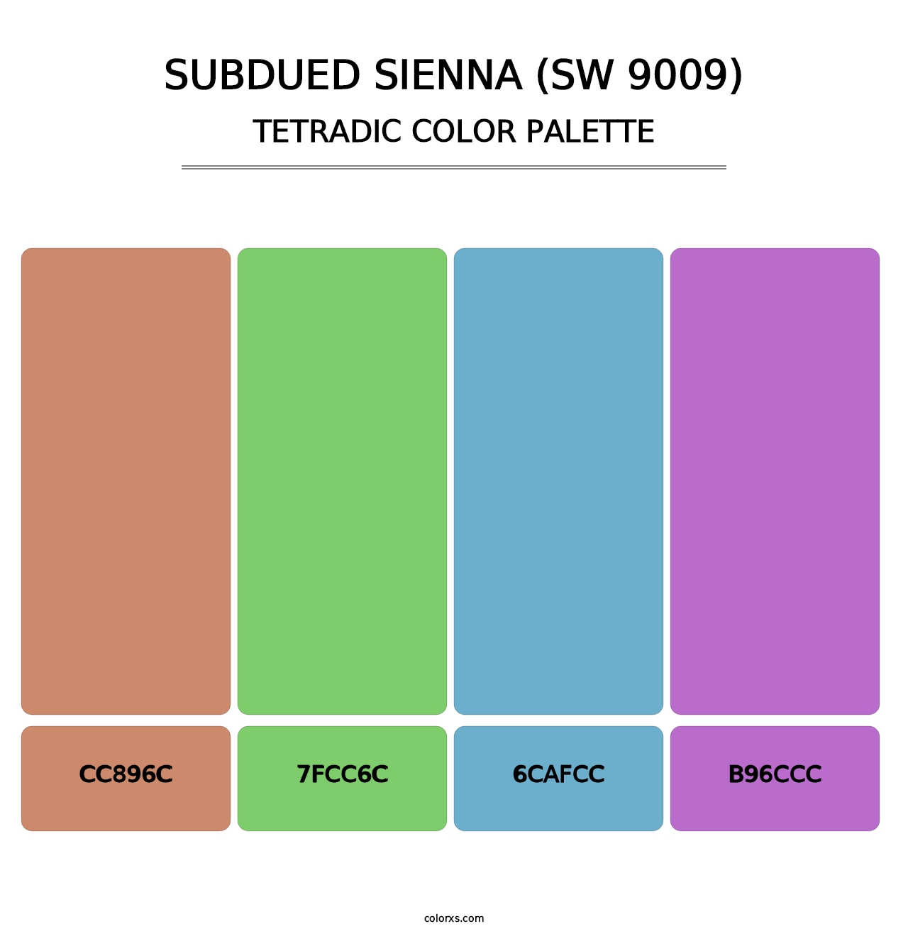 Subdued Sienna (SW 9009) - Tetradic Color Palette