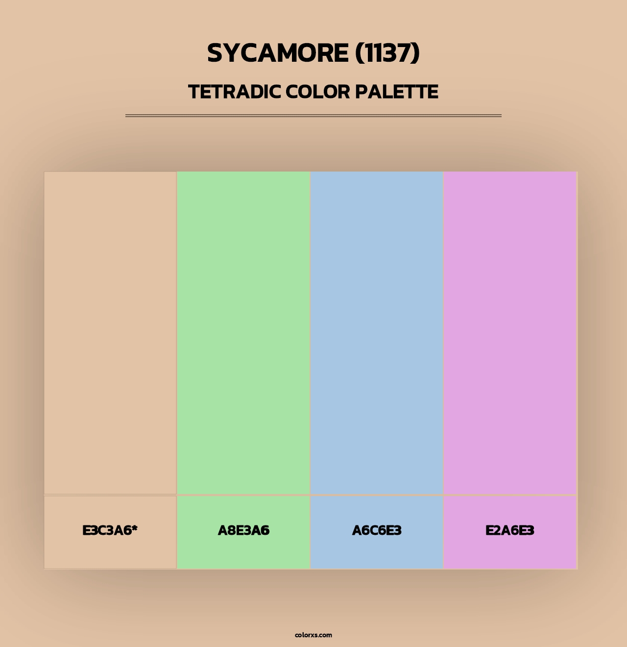 Sycamore (1137) - Tetradic Color Palette