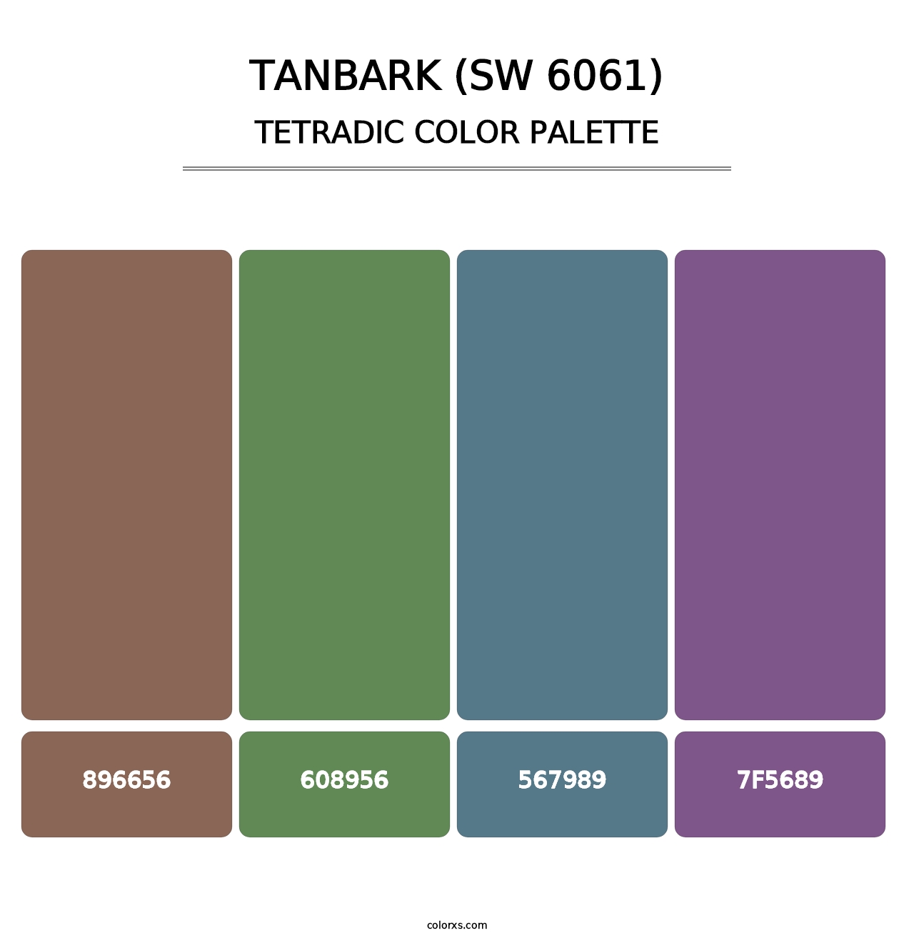 Tanbark (SW 6061) - Tetradic Color Palette