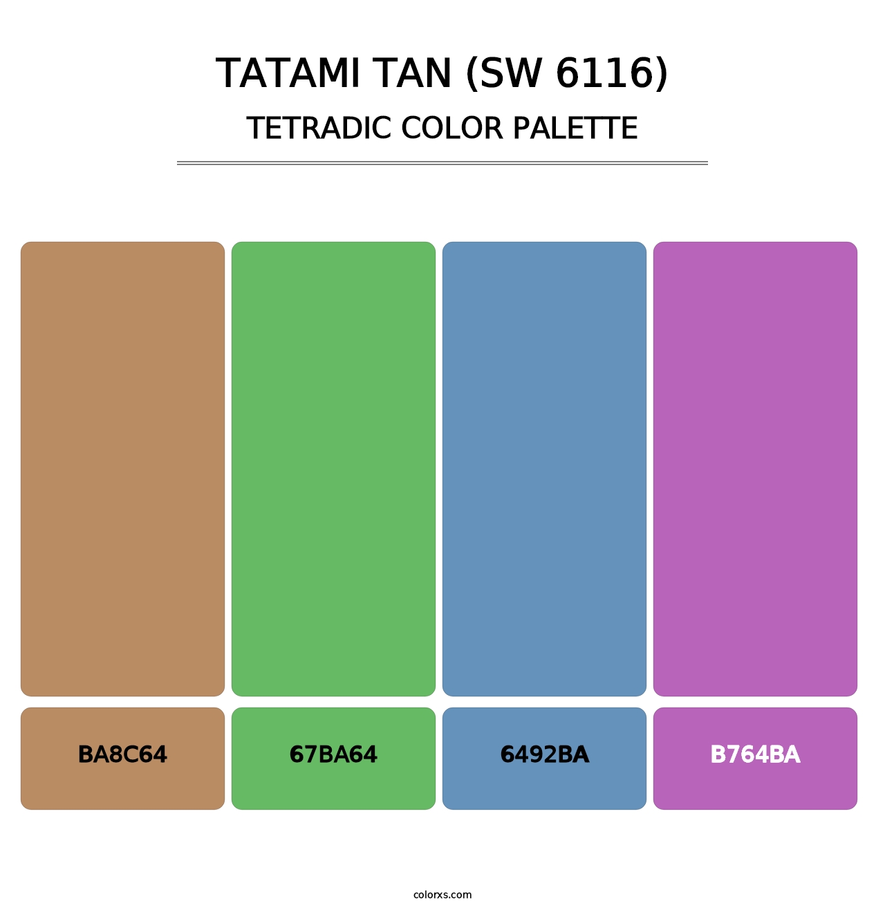Tatami Tan (SW 6116) - Tetradic Color Palette