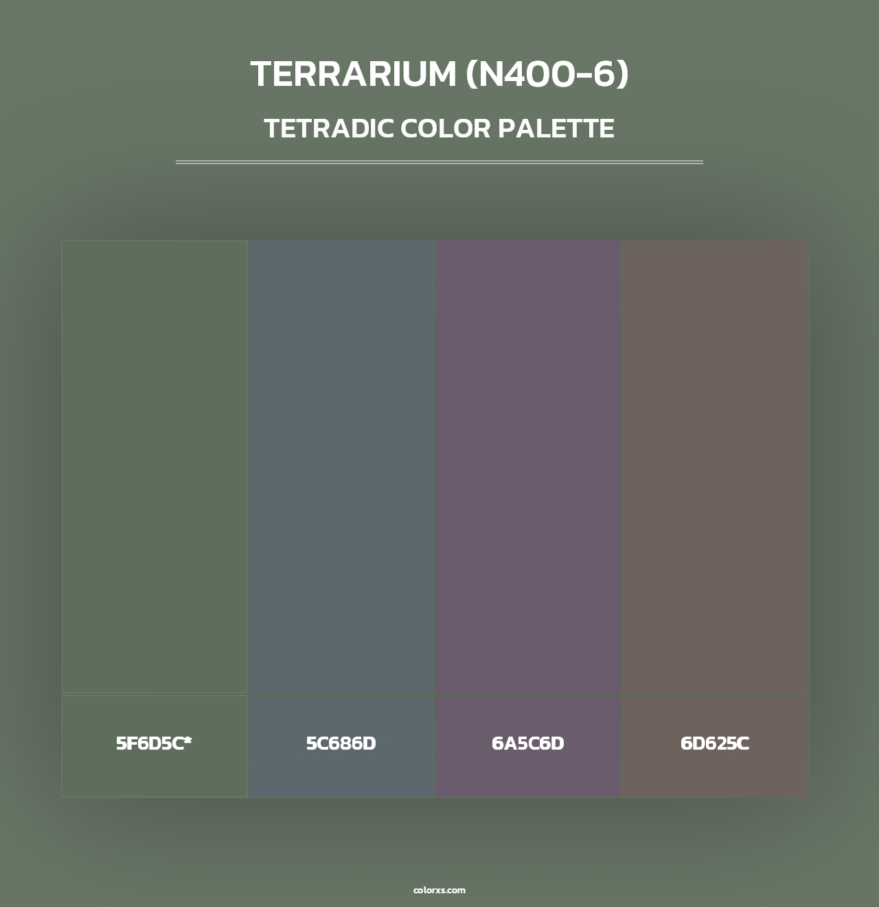 Terrarium (N400-6) - Tetradic Color Palette