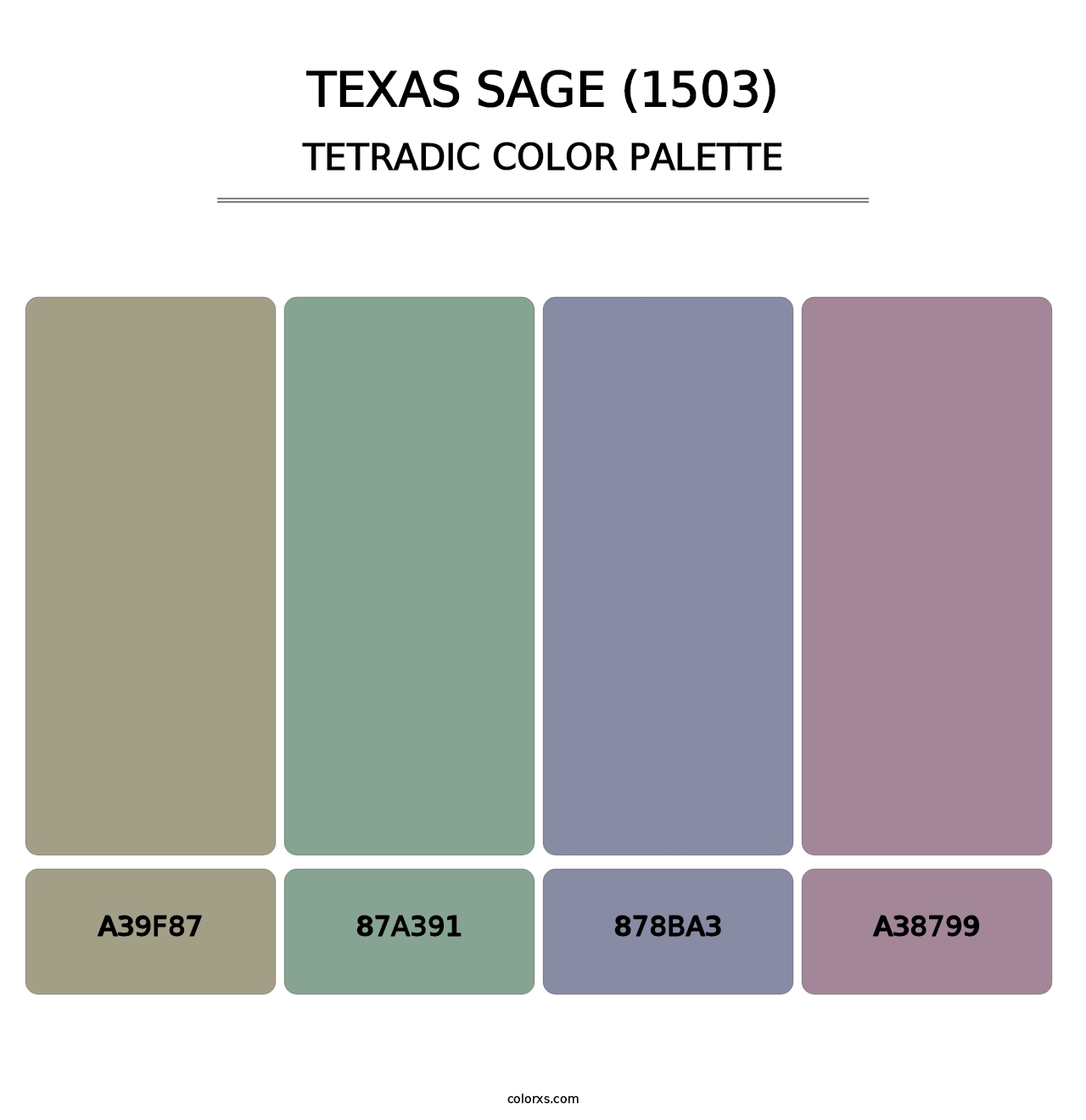 Texas Sage (1503) - Tetradic Color Palette