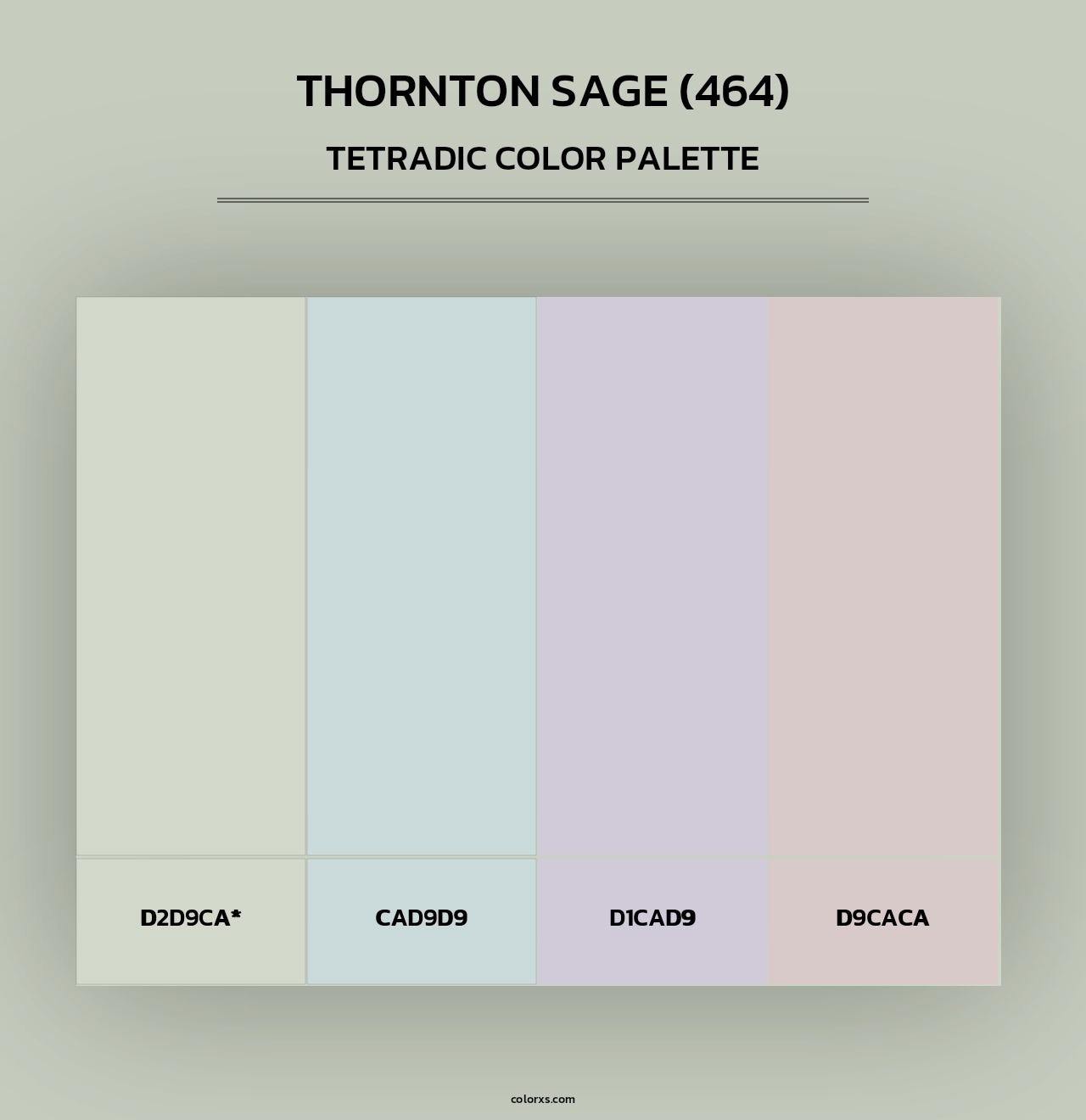 Thornton Sage (464) - Tetradic Color Palette