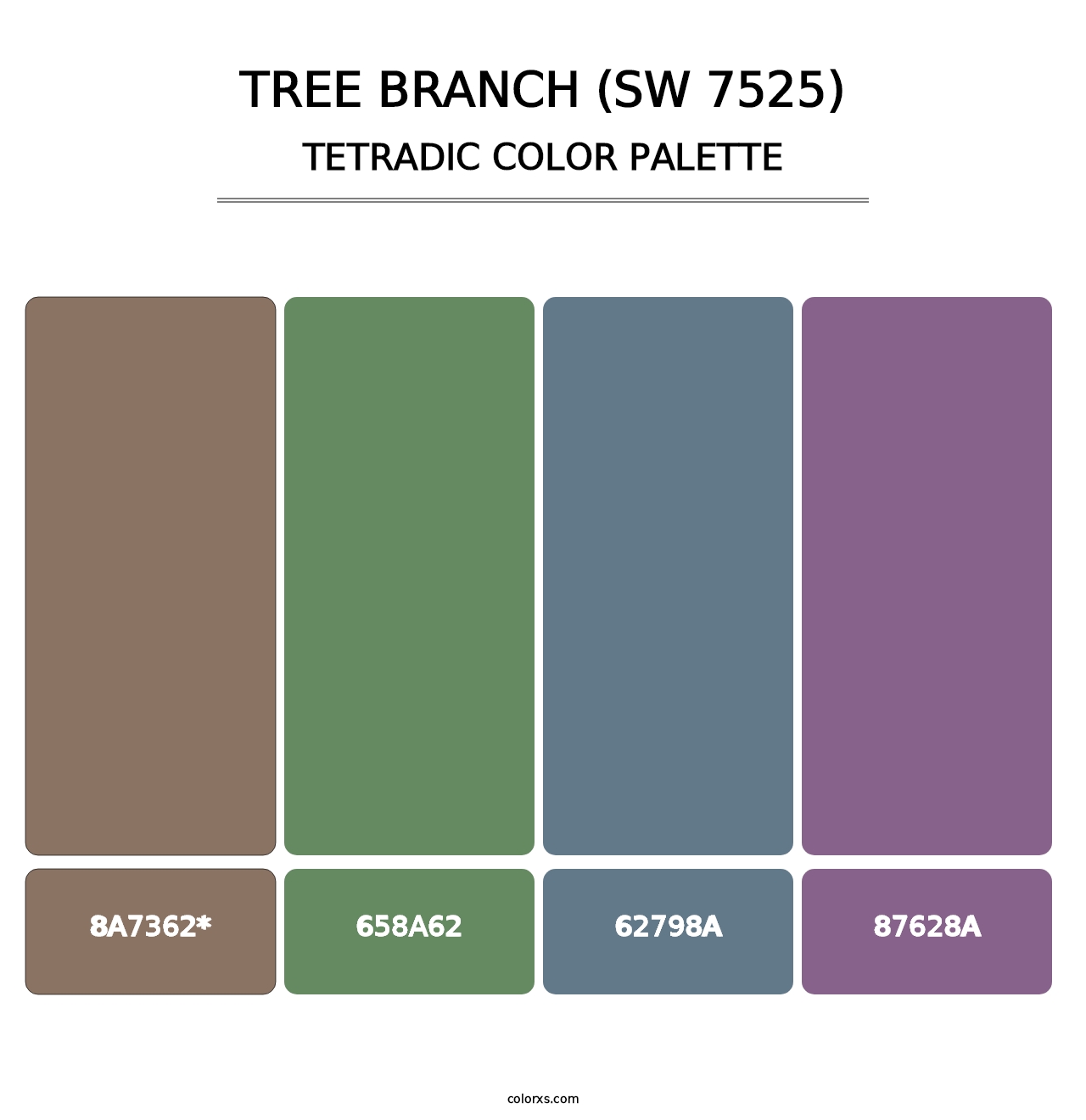 Tree Branch (SW 7525) - Tetradic Color Palette