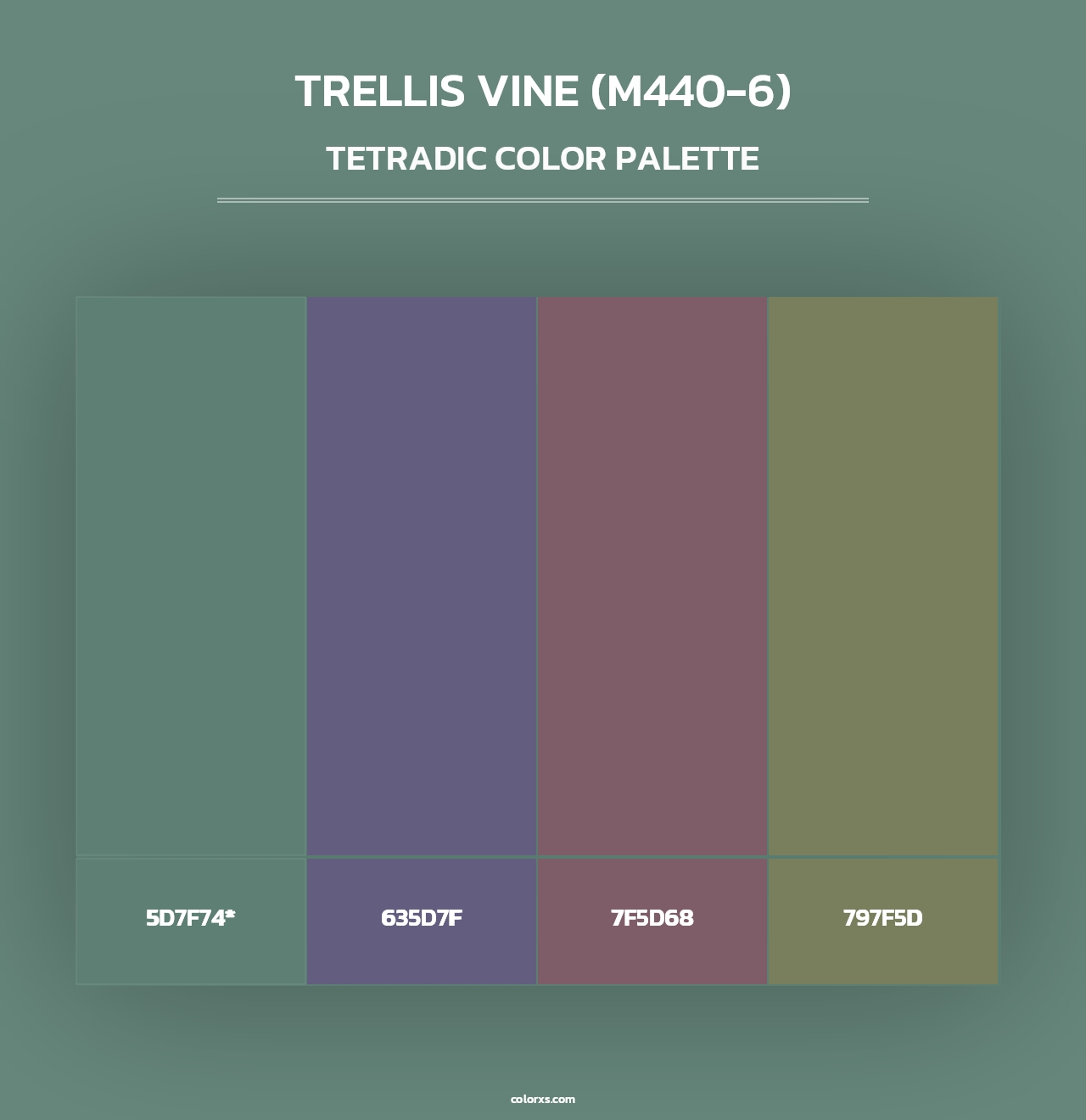 Trellis Vine (M440-6) - Tetradic Color Palette