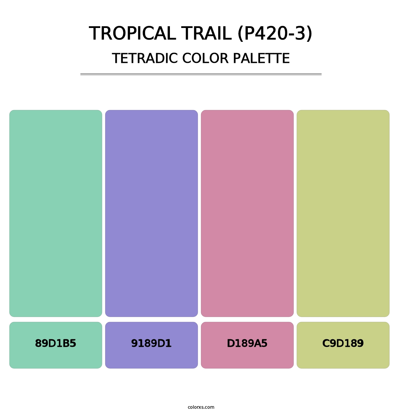 Tropical Trail (P420-3) - Tetradic Color Palette