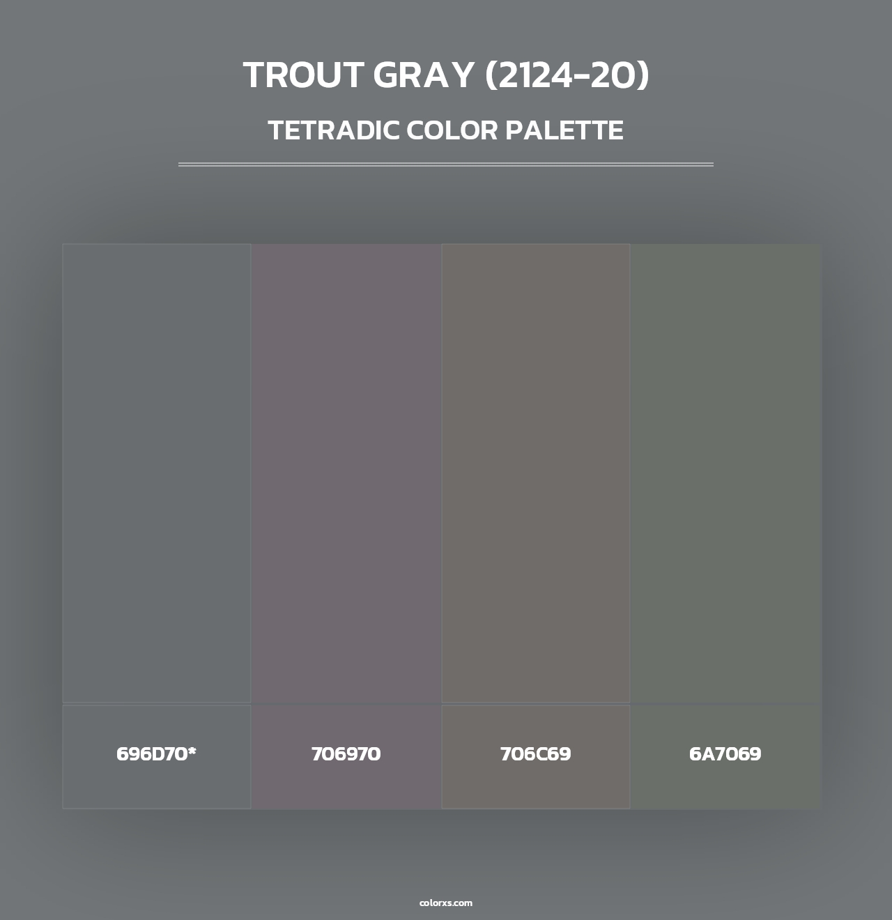 Trout Gray (2124-20) - Tetradic Color Palette