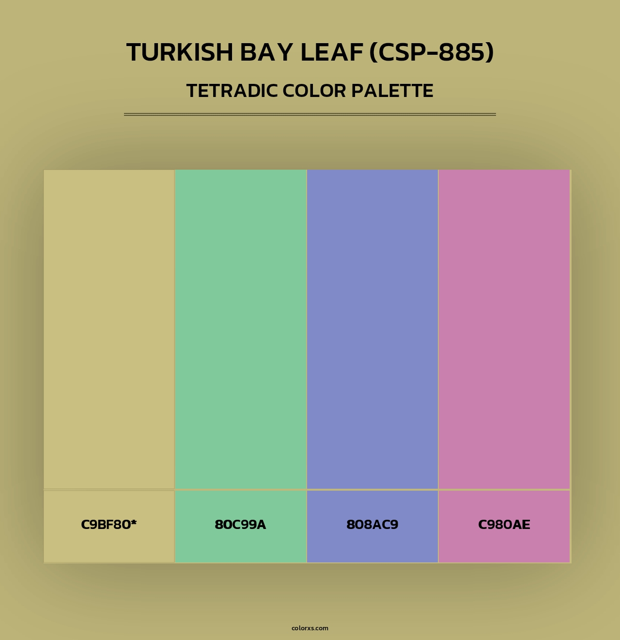 Turkish Bay Leaf (CSP-885) - Tetradic Color Palette