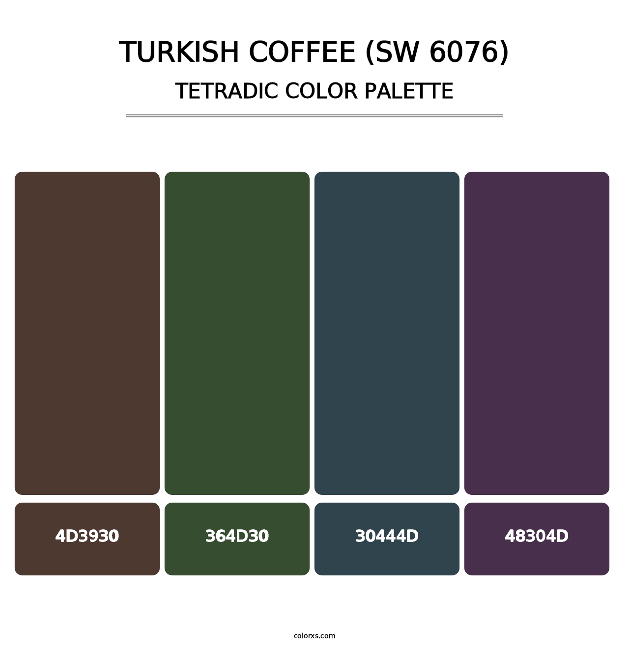 Turkish Coffee (SW 6076) - Tetradic Color Palette
