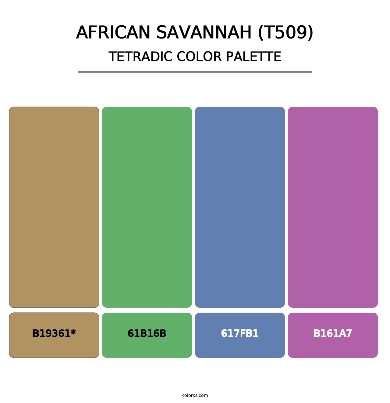African Savannah (T509) - Tetradic Color Palette