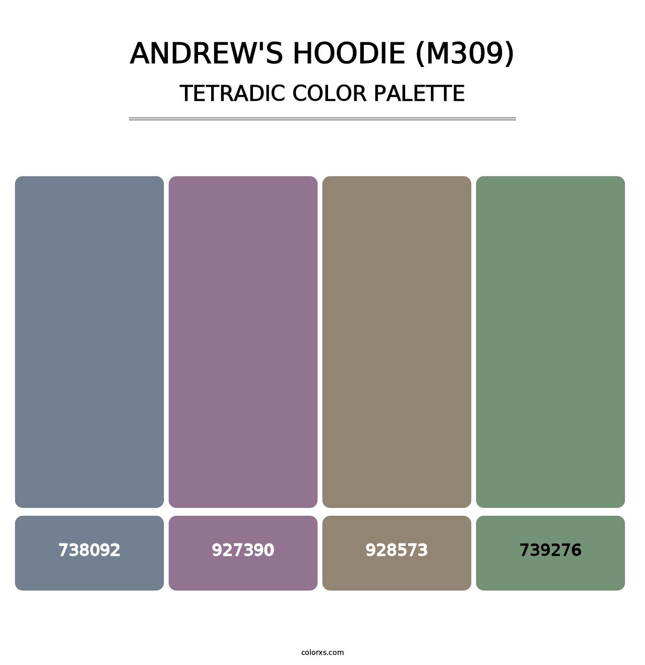 Andrew's Hoodie (M309) - Tetradic Color Palette