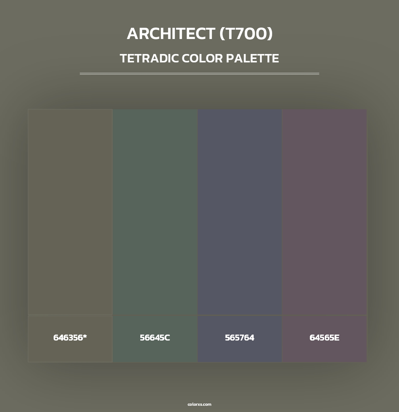 Architect (T700) - Tetradic Color Palette