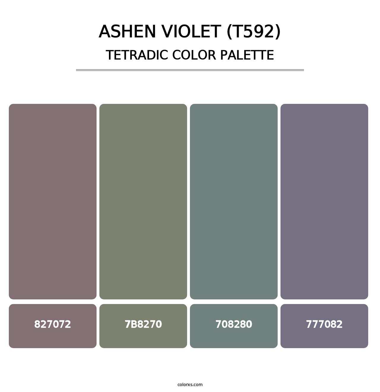 Ashen Violet (T592) - Tetradic Color Palette