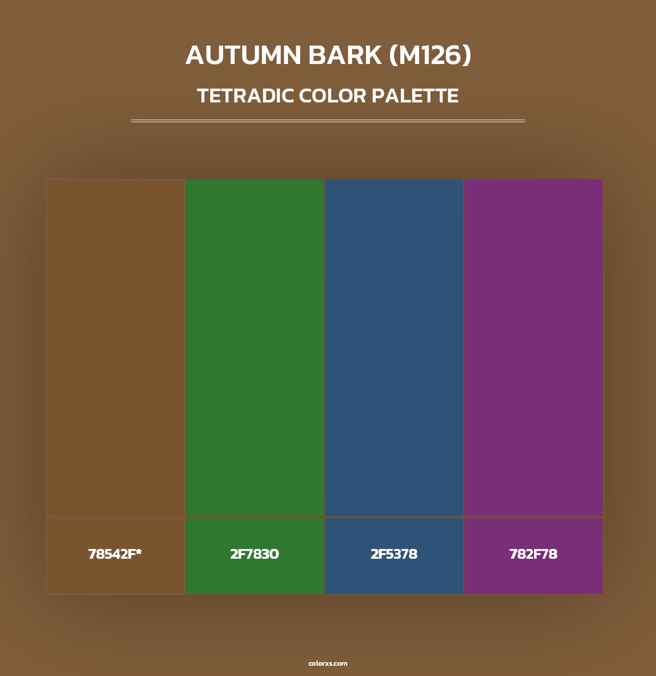 Autumn Bark (M126) - Tetradic Color Palette