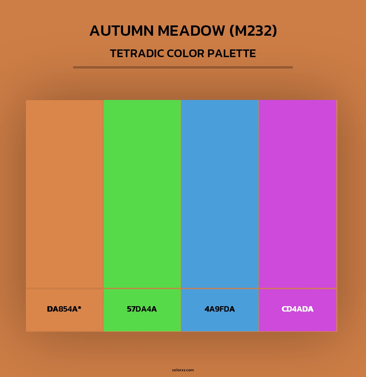 Autumn Meadow (M232) - Tetradic Color Palette