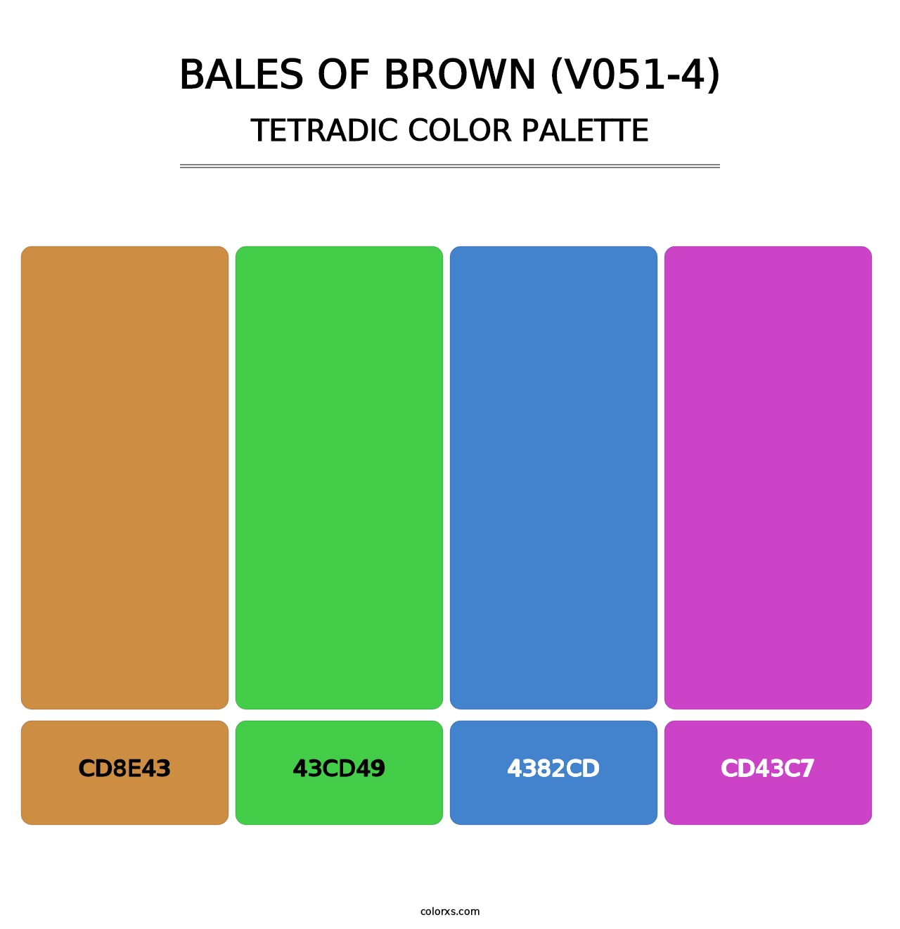 Bales of Brown (V051-4) - Tetradic Color Palette