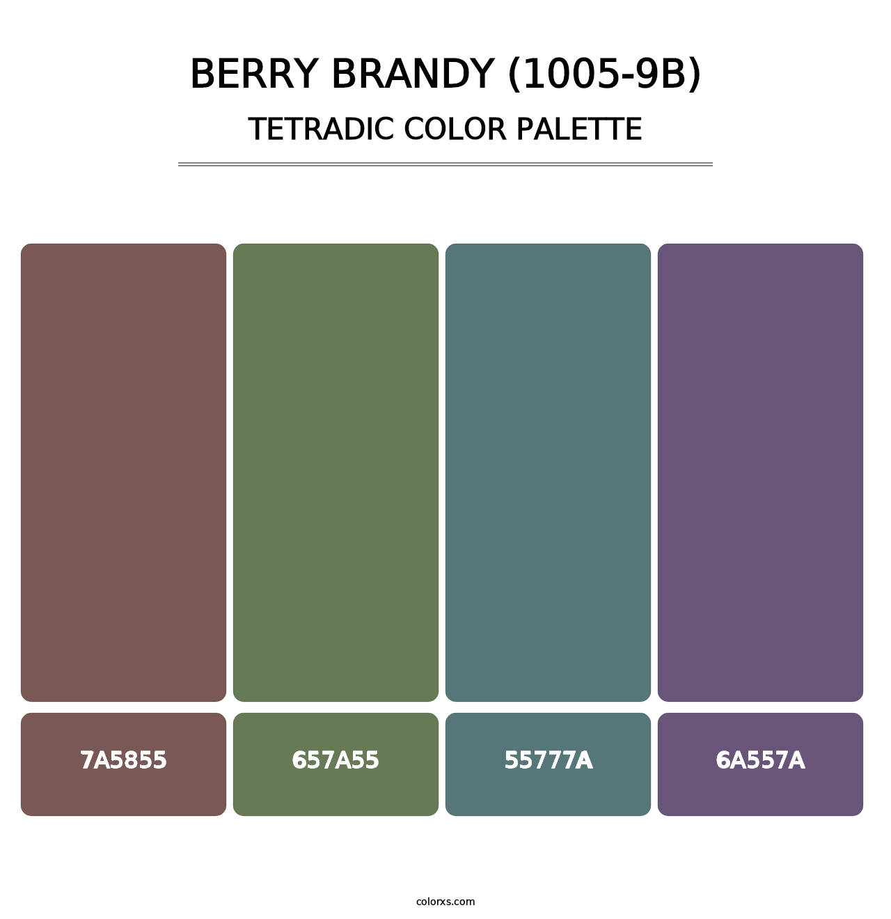 Berry Brandy (1005-9B) - Tetradic Color Palette