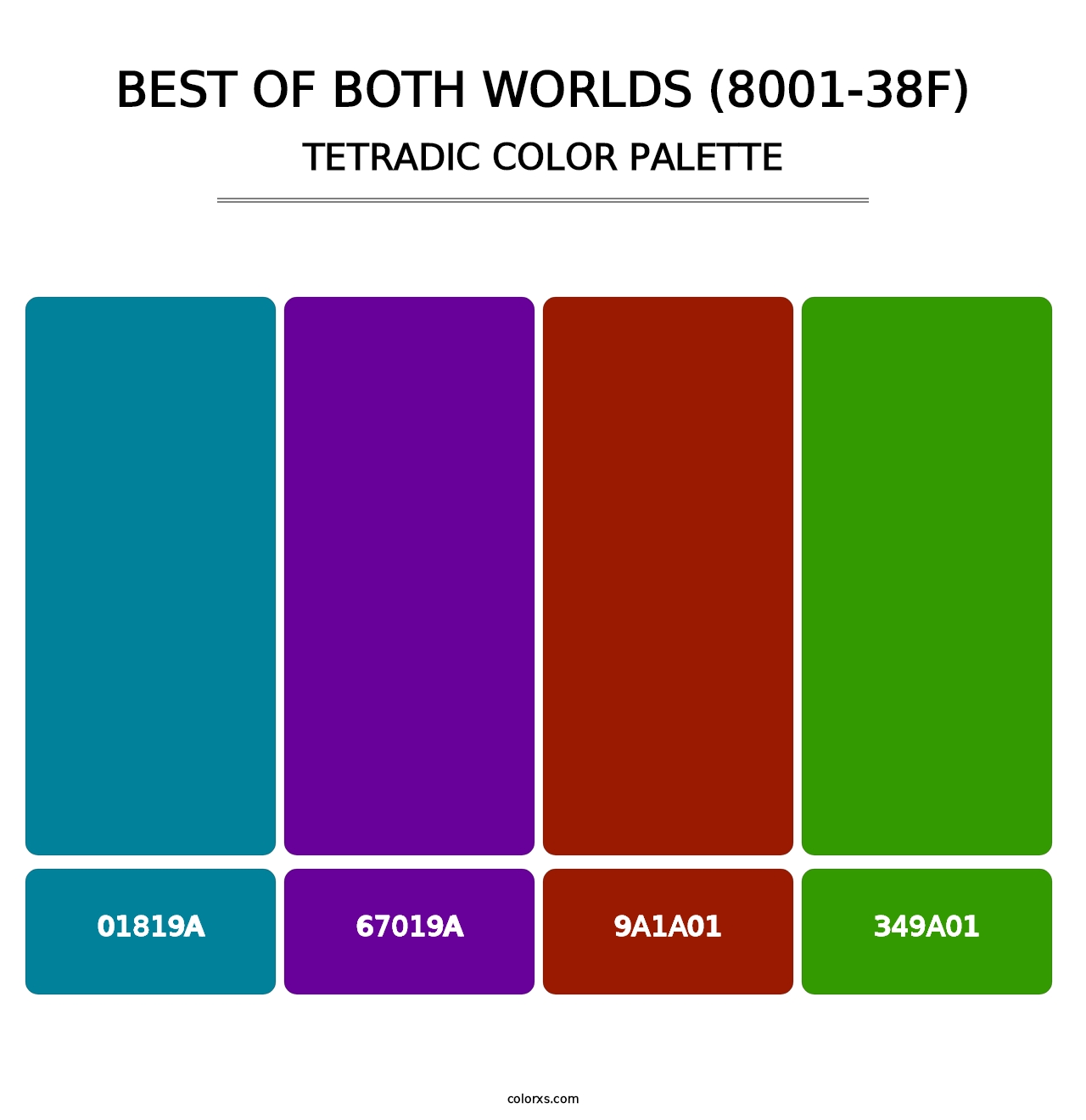 Best of Both Worlds (8001-38F) - Tetradic Color Palette