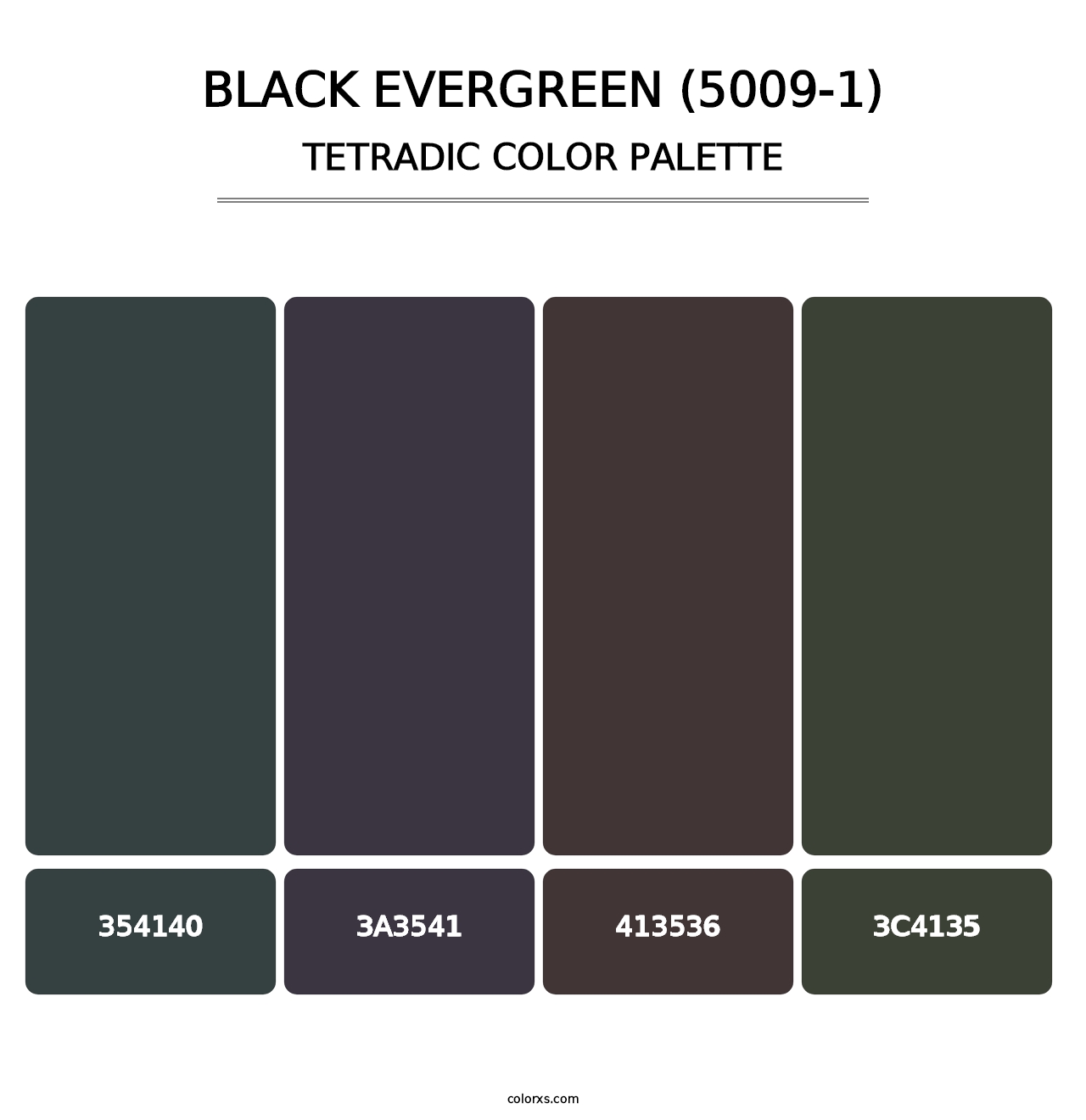 Black Evergreen (5009-1) - Tetradic Color Palette