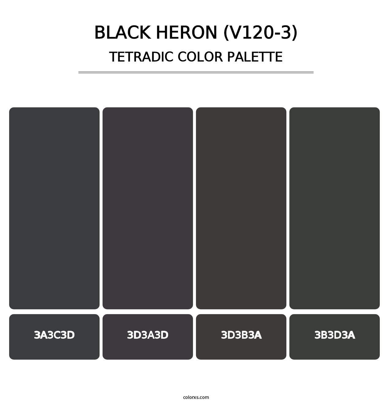 Black Heron (V120-3) - Tetradic Color Palette