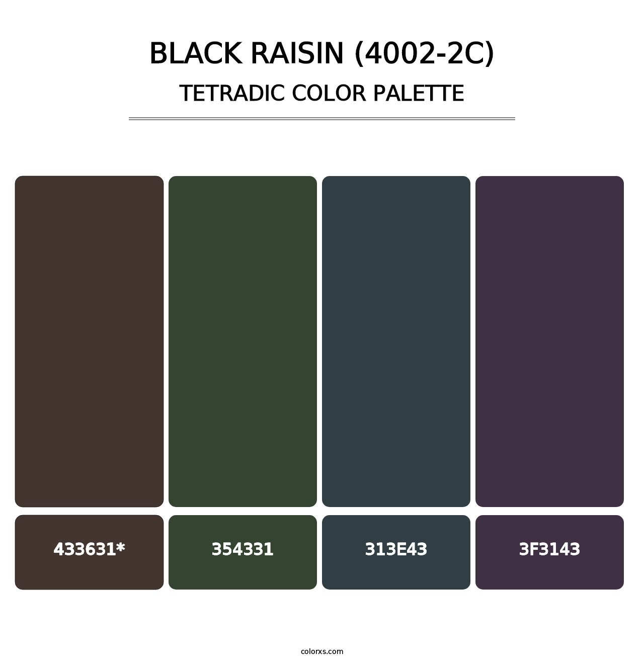 Black Raisin (4002-2C) - Tetradic Color Palette
