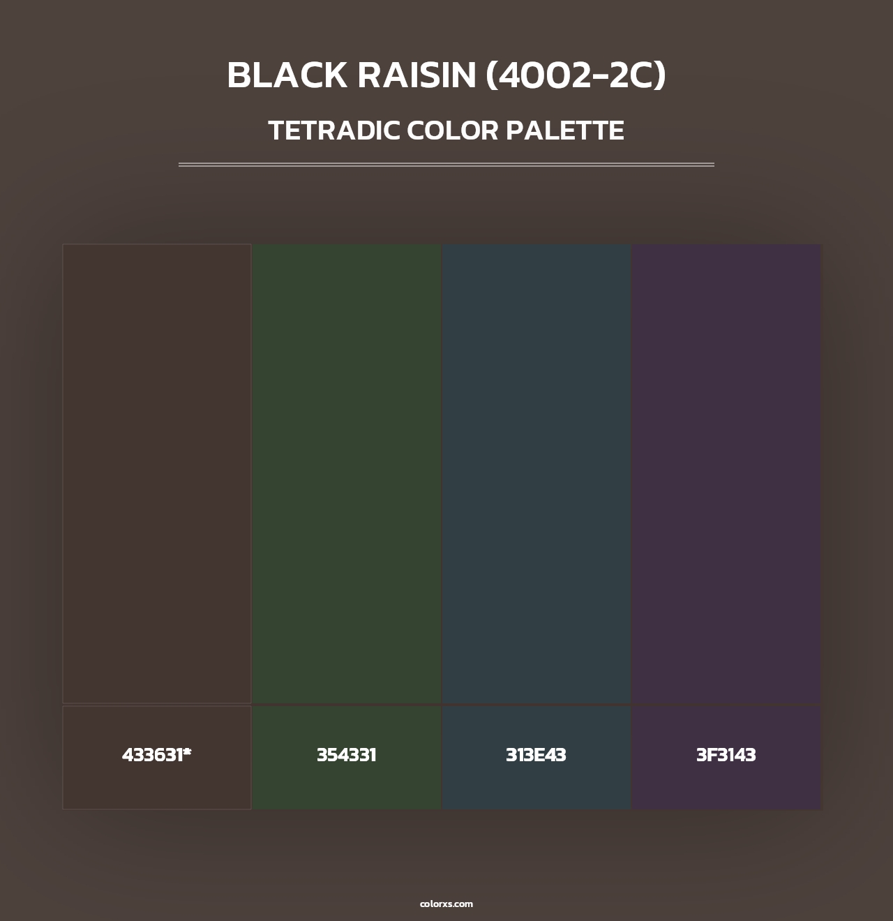 Black Raisin (4002-2C) - Tetradic Color Palette