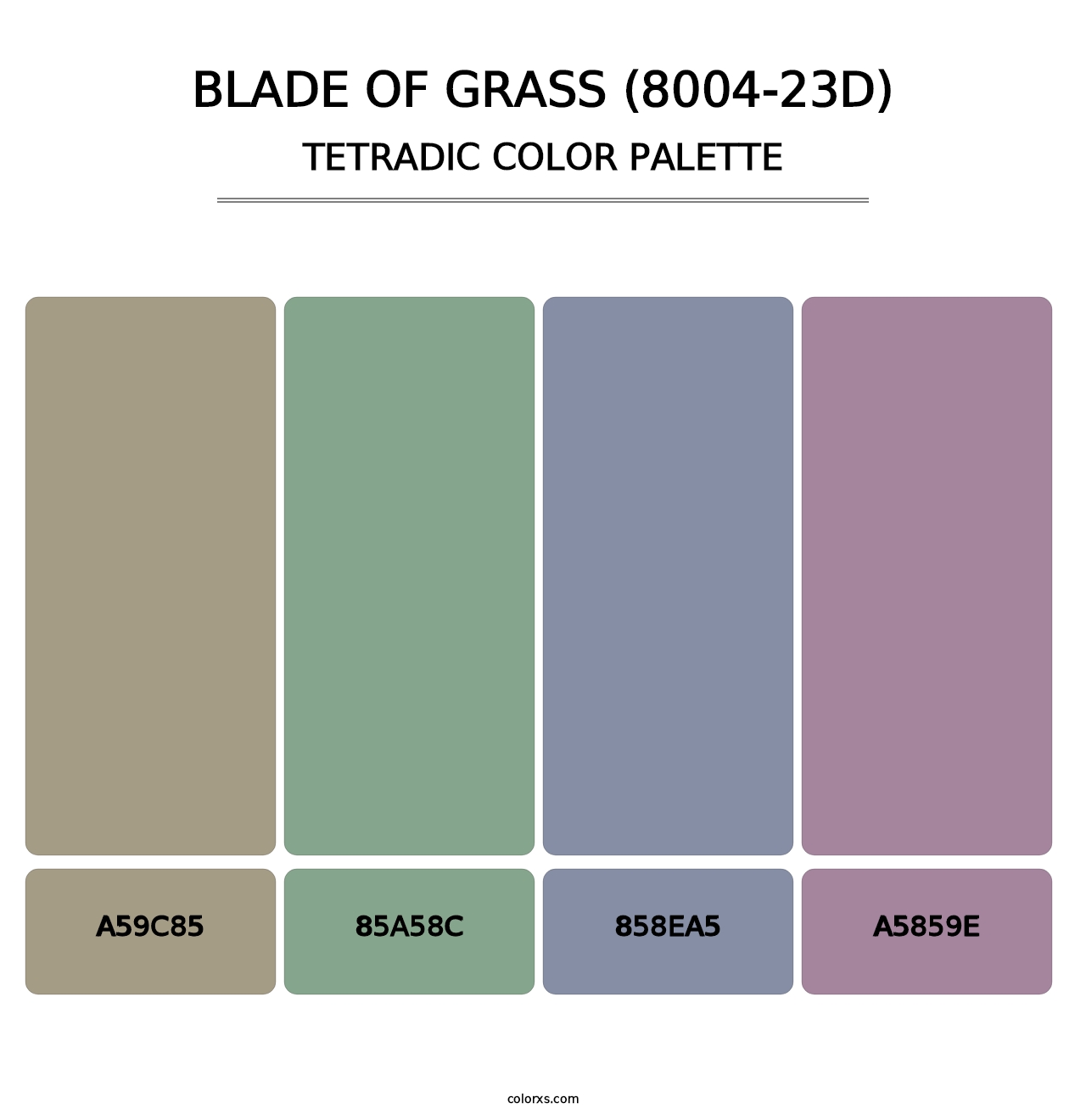 Blade of Grass (8004-23D) - Tetradic Color Palette